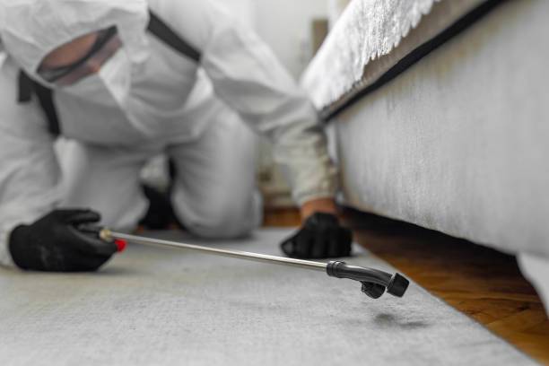 Professional Bed Bug Control technician working in Youngstown, OH