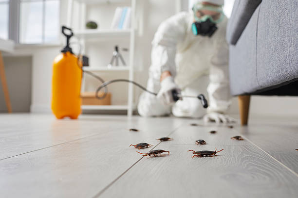 Trusted Cockroach Control service in Youngstown, OH - Nex Pest Control