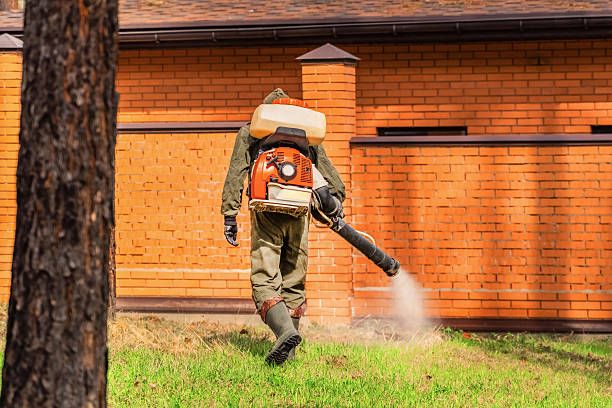 Trusted Mosquito Control service in Youngstown, OH - Nex Pest Control